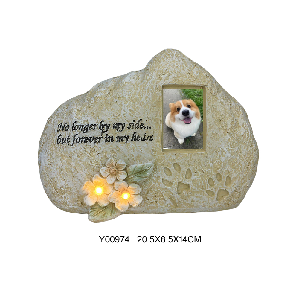 Y00974